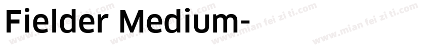 Fielder Medium字体转换